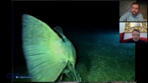 Морская биология, лекция 3. Глубоководные погружения в Бермудском треугольнике