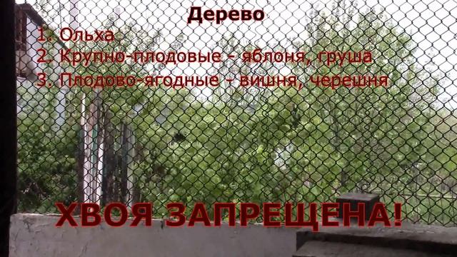 Холодное копчение рыбы. Рецепт вялено-копчёной рыбы
