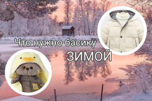Что нужно басикам зимой?