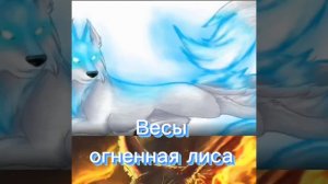 Какая ты лиса по знаку зодиака???
