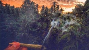 SH Kera х Джама – Хап с ароматом