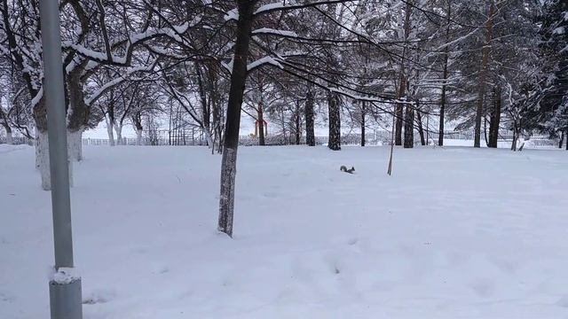 Санаторий профилакторий 