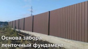 Забор из матового профлиста