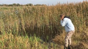 КАРПЫ на ПАЛКУ в ОГРОМНОМ ОЗЕРЕ ! Как сделать самодельную удочку