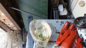 29.  Як позбавитись від ос та шершнів ? | Как избавится от ос и шершней ?