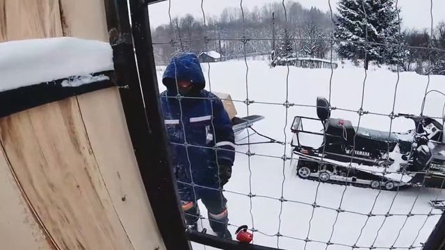 лайки на прогулке??? смотреть онлайн