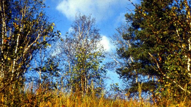 Моя земля. Авторская песня о Земле, под гитару смотреть онлайн