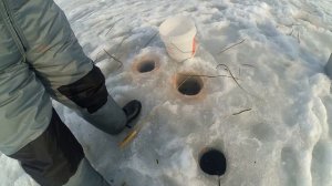 Зимняя рыбалка, ловля корюшки. КОРЮШКА