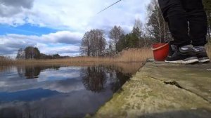 Fishing.Жор Краснопёрки. Рыбалка Открытие сезона