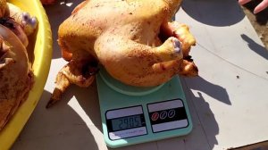 Бройлеры: 50 дней, забой.