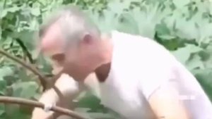 Лайфхак от доктора Попова