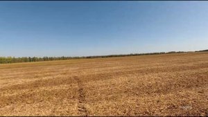 Уборка сои 2019г, предшественник соя.