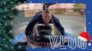 VLOG 24.01.2024 Москвариум и спа-комплекс Мореон!