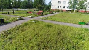 Новая Чара с дрона