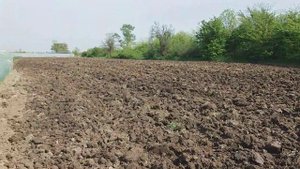 Подготовка земли под посадку клубники