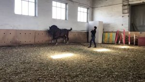 Комплексная тренировка и вперед!