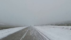 ДОБРОВОЗ