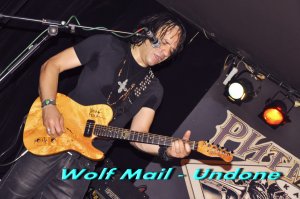Wolf Mail - Undone