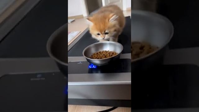 МОТИВАЦИЯ