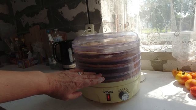 Пастила из вишни в домашних условиях. Рецепт в сушилке