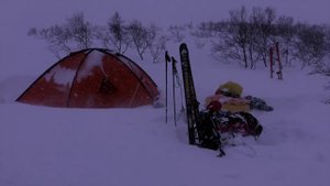 Прогулка к северному океану