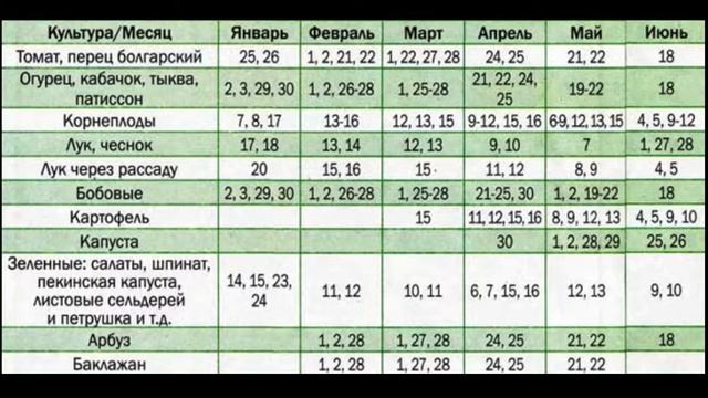 Посадка болгарского перца в феврале 24 года