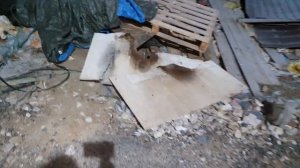 Можно ли использовать стекломагниевый лист (смл) для термозащиты, чтоб дэциль сэкономить ?