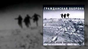 гражданская оборона - винтовка