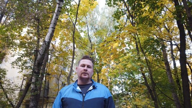 Кузьминки. Золотая осень смотреть онлайн