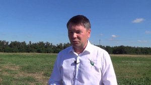 Сорта картофеля от «Молянов Агро Групп». Проект «Ранний клубень России. Испытания морозом и градом»