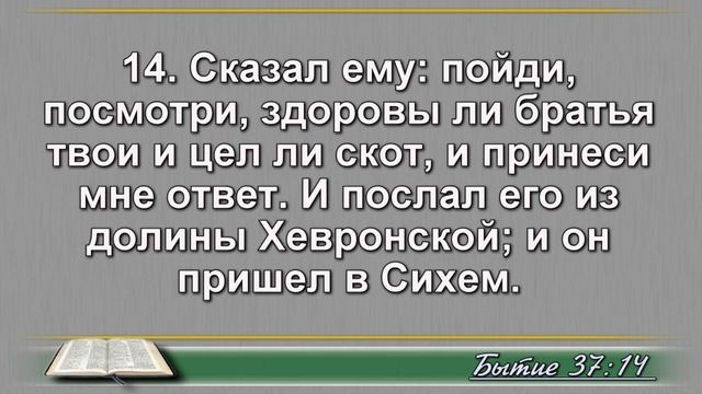 Ежедневное Чтение Библии 19 Января: Псалом 19, От Матфея 19, Бытие 37, 38 смотреть онлайн