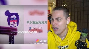 ХУдожники в Лайке