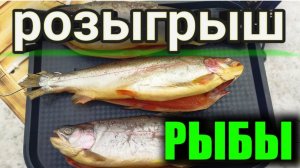 РОЗЫГРЫШ РЫБЫ ЗА ПОДПИСКУ #розыгрыш #shortvideo