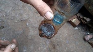 Ловушка для мух своими руками