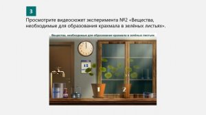 Биология 7 класс. Лабораторная работа №6. Исследование факторов, влияющих на процесс фотосинтеза