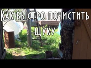 КАК ПРАВИЛЬНО И БЫСТРО ПОЧИСТИТЬ ЩУКУ НОЖОМ