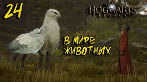 Hogwarts Legacy Прохождение #24 В мире животных