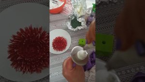 Домашние_красители_распылители_5.mp4
