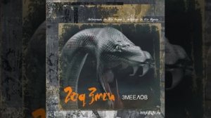 Год Змеи - Выбираю