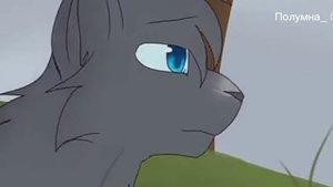 Коты воители клип: Синяя звезда (Клетка)