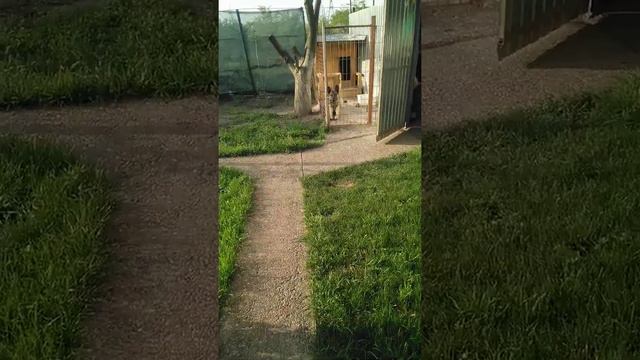 Моя дача мои заботы 2 смотреть онлайн