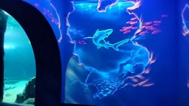 Океанариум Адлер/Поющий фонтан -Олимпийский парк Сочи смотреть онлайн