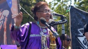 Save Oak Flat: Apache Stronghold Rally at U.S. Capitol on 7-22-15