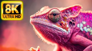 8K HDR 60FPS Dolby Vision — ЖИВОТНЫЕ И ДИКАЯ ЖИЗНЬ