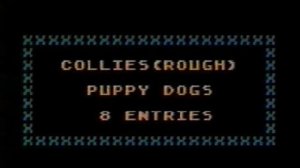 5. Collie pt.1 (Collie Show, Parnu, 25-26 April 1992)