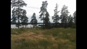 Den sista sången - Dan Andersson  tolkning