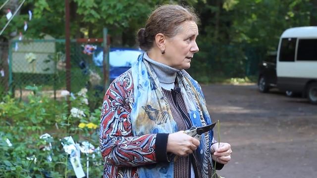 Размножение одревесневшими и зелеными черенками. Мастер-класс Софьи Элькиной