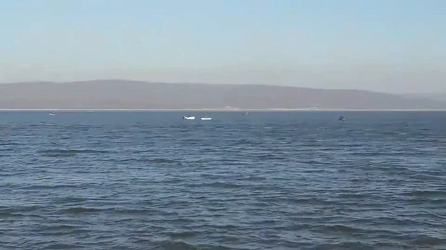 Приморский край Тавричанка. смотреть онлайн