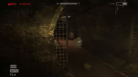 Кто на самом деле прячется в канализации