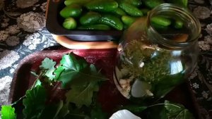 СОЛЕНЫЕ ОГУРЦЫ НА ДУБОВЫХ ЛИСТЬЯХ. СУПЕР РЕЦЕПТ! ХРУСТЯШИЕ, АРОМАТНЫЕ И ПОТРЯСАЮЩЕ ВКУСНЫЕ